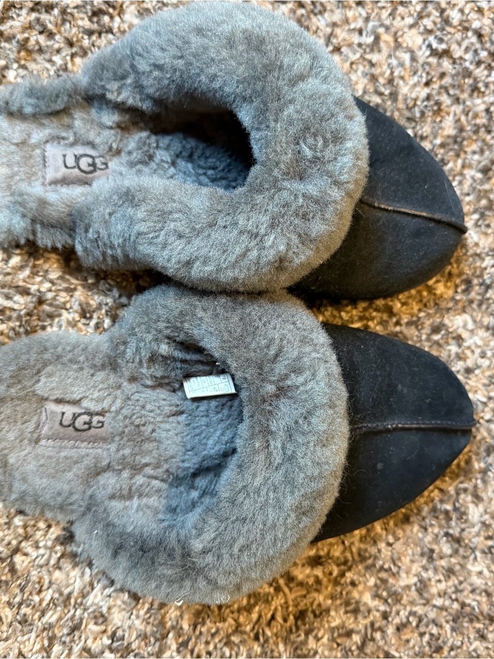 UGG Women’s Black Suede Slippers with Gray Shearling Trim